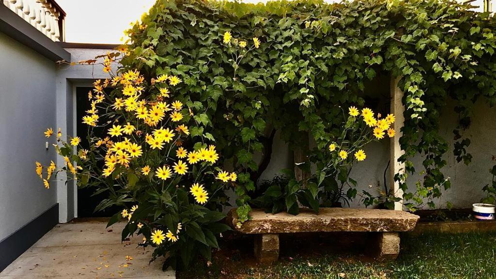 Casa As Dez Villa Angra do Heroísmo Exteriör bild